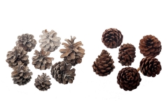 032 Dekorativne šišarke